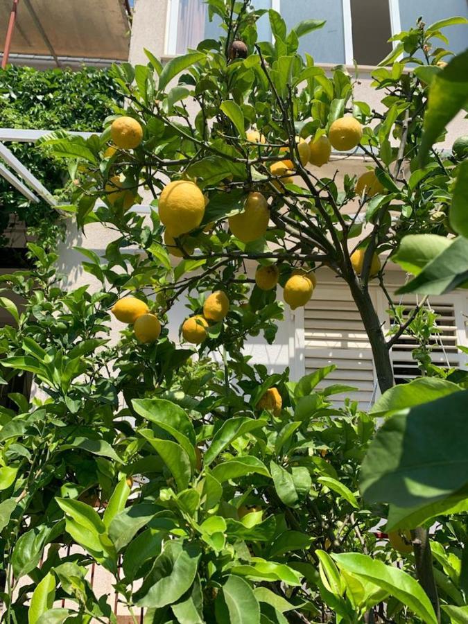 Apartament Abi 希杰·弗朗吉卡 外观 照片